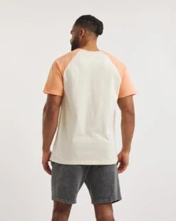 Raglan T-shirts -Jacamo Shop y08gw376722w