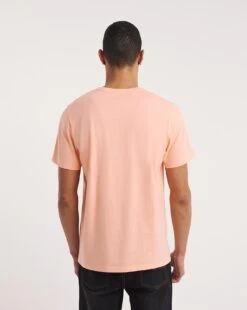 Crew Neck Pop Colour T-shirt -Jacamo Shop y08gw532705w