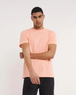 Crew Neck Pop Colour T-shirt -Jacamo Shop y08gw532707w