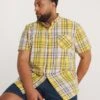 Short Sleeve Cotton Check Shirt